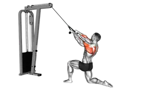 Cable Kneeling Rear Delt Row (with rope) exercise