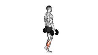 Dumbbell Standing Single Leg Calf Raise exercise