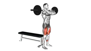 Barbell Front Bench Squat exercise