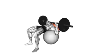Barbell Chest Press on Stability Ball exercise