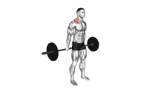 Barbell Behind The Back Shrug exercise