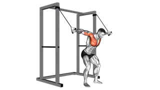 Band high fly exercise