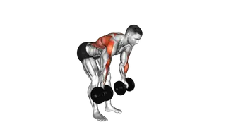 Dumbbell Bent Over Reverse Row exercise