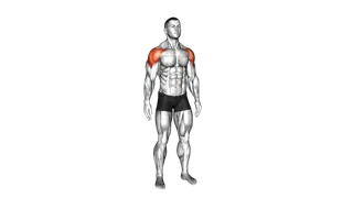 Mid Air Lateral Raises With Switching Palms exercise