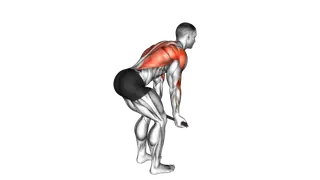 Bent over Row with Towel