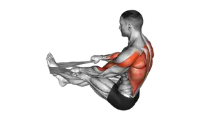 Seated Row with Towel exercise