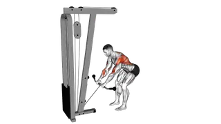 Cable Bent Over Row exercise