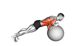 Exercise Ball Body Saw exercise