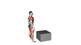 Jump Box Over