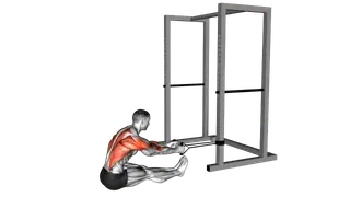 Band seated row exercise