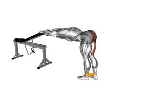 Resistance Band One Leg Kickback (Bent Position) exercise