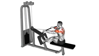 Cable Rear Delt Row exercise