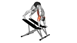 Decline Pike Press (between benches) exercise