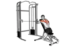 Cable Seated Rear Delt Fly with Chest Support