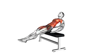 Seated Alternate Crunch exercise