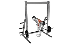 Smith Single Arm Bent Over Row