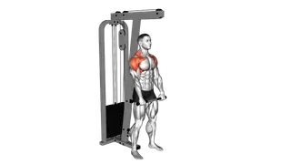 Cable Standing Front Raise Variation
