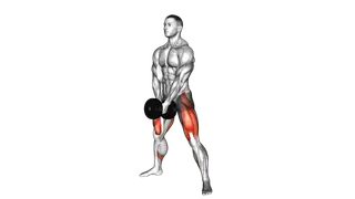 Dumbbell Bar Grip Sumo Squat exercise