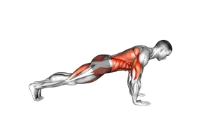 Bird Dog Push Up exercise