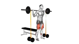 Barbell Banded Bench Squat exercise