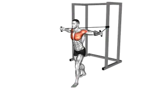 Band Chest Fly exercise