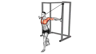 Band Alternate Low Chest Fly exercise