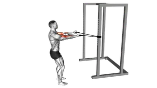 Band Horizontal Biceps Curl exercise