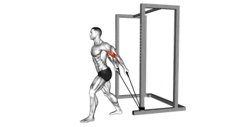 Band 45 degrees Biceps Curl exercise
