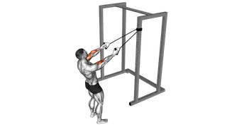 Band Cross Chest Biceps Curl exercise