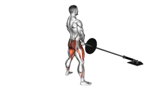Landmine Sumo Squat exercise