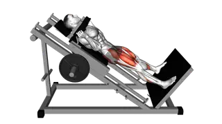 Sled Wide Hack Squat exercise
