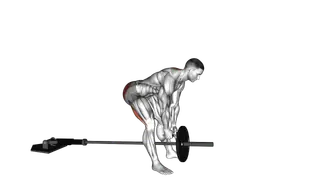 Landmine Romanian Deadlift exercise