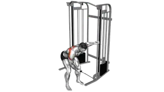 Cable One Arm Reverse Fly exercise