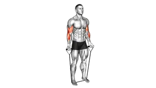 Band Close Grip Biceps Curl exercise