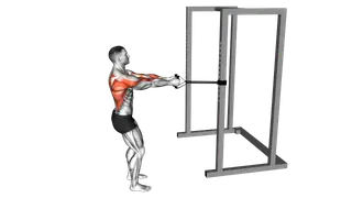 Band Close Grip Row exercise