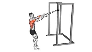 Band Narrow Grip High Row exercise