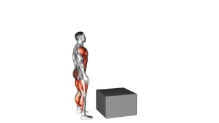 Jump Pistol Squat Box exercise