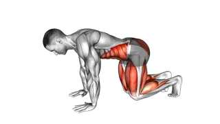 Bear Plank exercise