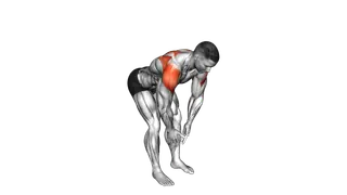 Bodyweight Bent Over Rear Delt Fly exercise