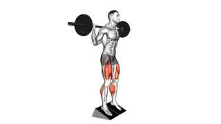 Barbell Elevated Heel Squat exercise