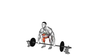Barbell Deadlift against Chains exercise
