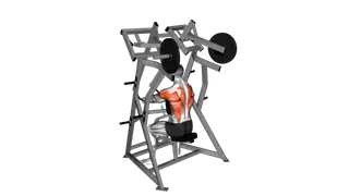 Lever Low Row (plate loaded) exercise