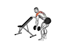 Dumbbell One Arm Reverse Fly (with support) (VERSI exercise