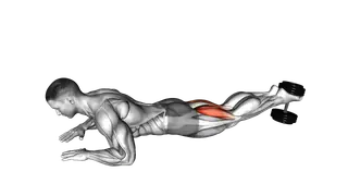 Dumbbell Lying Hamstring Curl