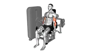 Lever Biceps Curl exercise