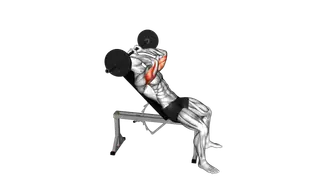Barbell Incline Triceps Extension Skull Crusher exercise