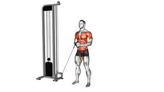 Cable horizontal Pallof Press exercise