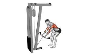 Cable Bent Over Reverse Grip Row exercise