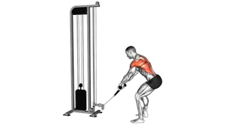 Cable Low Row with Rope Attachment
