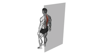 Roll Ball Erector Spinae exercise